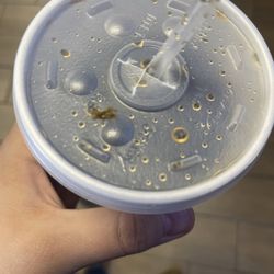 Wing Snob - Cup with mold from the drink machine.