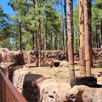 Bearizona - Zoos Near Me - Williams, Arizona Bearizona - Zoos Near Me - Williams, Arizona