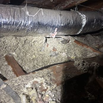 Rodents Control - Before the cleaning - Insulation Installation Near Me