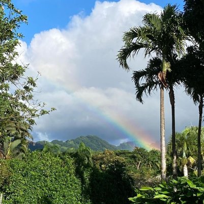 The Sights and Sounds of Beautiful Kauai! - You can trust your hopes, dreams, and financial future to Kauai Dreams Realty! No matter what you are looking for, we are Kauai's most experienced Real Estate Professionals! The Sights and Sounds of Beautiful Kauai! - You can trust your hopes, dreams, and financial future to Kauai Dreams Realty! No matter what you are looking for, we are Kauai's most experienced Real Estate Professionals!