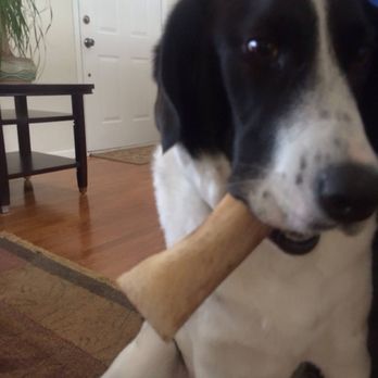 Lanoka Oaks Veterinary Center - Another happy customer. - Veterinarians Near Me - Lanoka Harbor, New Jersey Lanoka Oaks Veterinary Center - Another happy customer. - Veterinarians Near Me - Lanoka Harbor, New Jersey