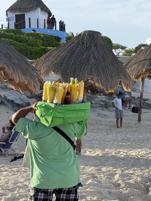Dolphins Beach by null