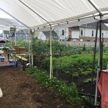Westside Tilth Farm - Farms Near Me - Buffalo, New York