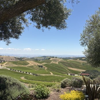 DAOU Vineyards - Wineries Near Me - Paso Robles, California