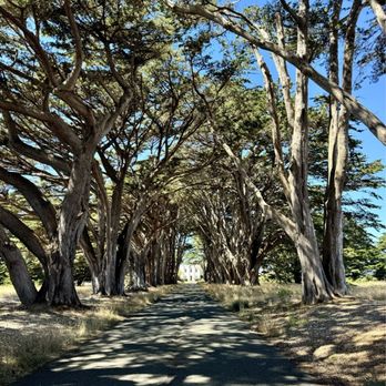 Cypress Tree Tunnel - Parks Near Me - Inverness, California Cypress Tree Tunnel - Parks Near Me - Inverness, California