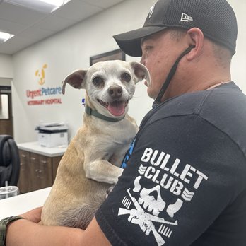 Urgent Petcare - All better! - Veterinarians Near Me - Surprise, Arizona Urgent Petcare - All better! - Veterinarians Near Me - Surprise, Arizona