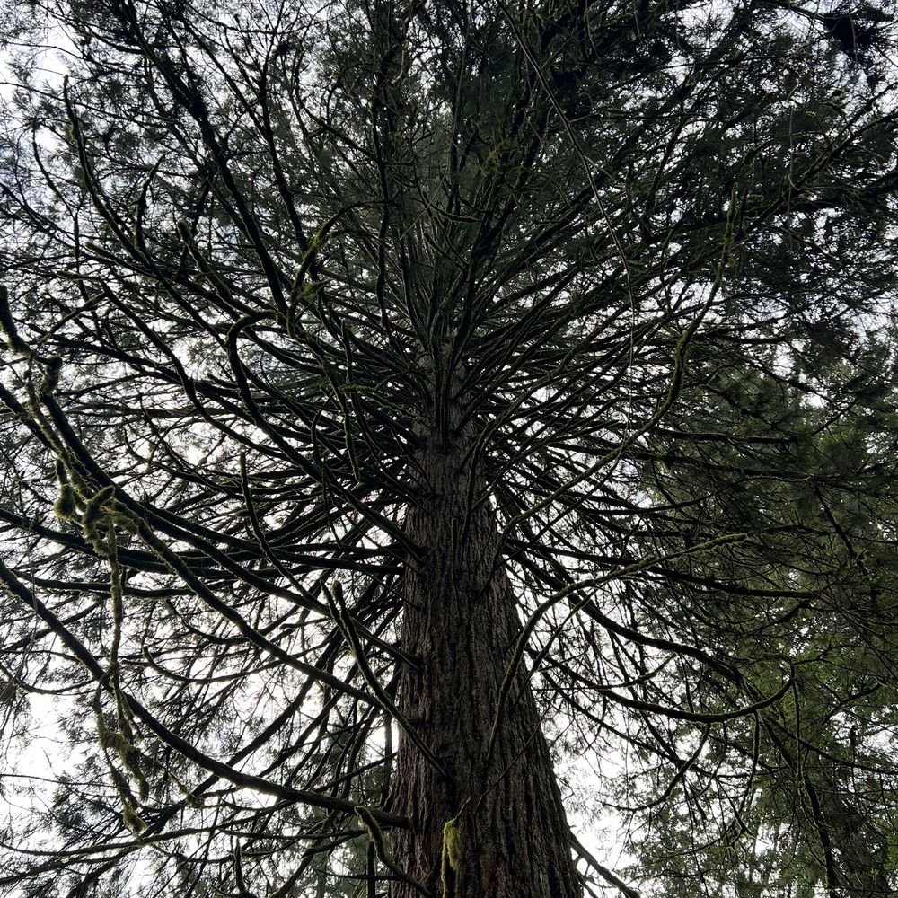Leach Botanical Garden