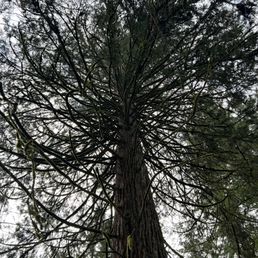 Leach Botanical Garden