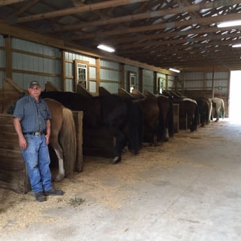 Circle R Ranch - The stable - Horseback Riding Near Me - Oakland, Maryland Circle R Ranch - The stable - Horseback Riding Near Me - Oakland, Maryland