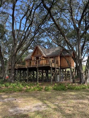 BONNET SPRINGS PARK - 23 Photos - 400 Bonnet Springs Blvd, Lakeland, FL