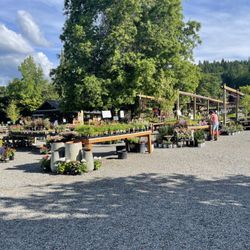 Gray Barn Nursery & Garden Center - Nursery