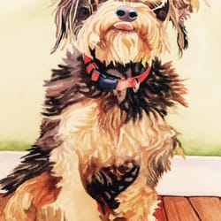 Dog Tired Studio and Gallery - Bailey- Pet portrait by Sean P. Callahan