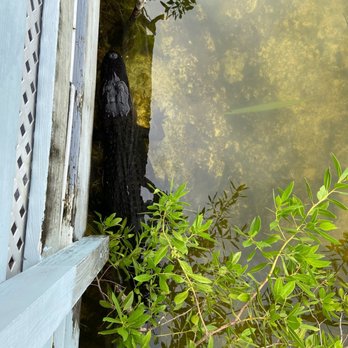 Blue Hole Observation Platform - Hiking Near Me - Big Pine Key, Florida