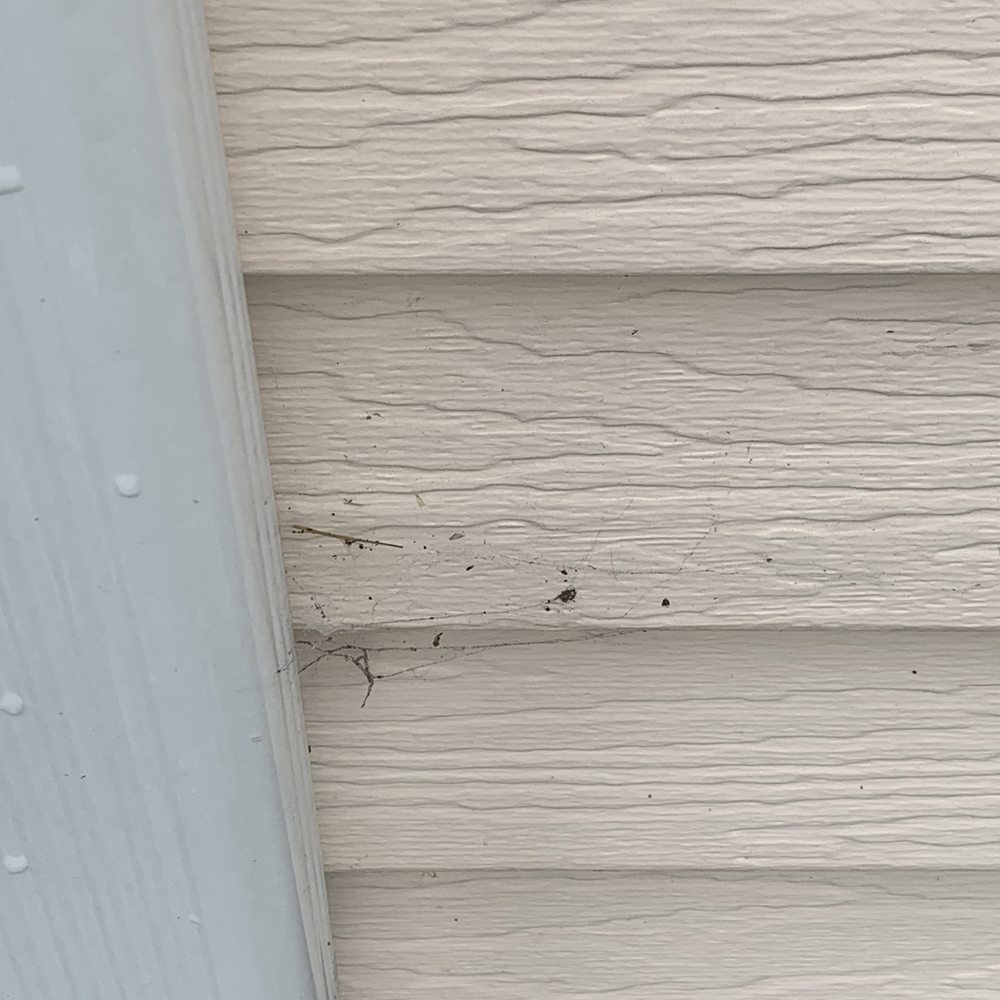 Aptive Pest Control - Pest Control Near Me - Princeton Junction, New Jersey Aptive Pest Control - Pest Control Near Me - Princeton Junction, New Jersey