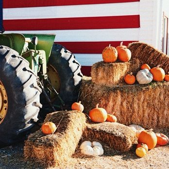 Cross E Ranch - Photo op - Festivals Near Me - Salt Lake City, Utah Cross E Ranch - Photo op - Festivals Near Me - Salt Lake City, Utah