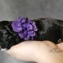 B&B Designer  Breed Shihpoo