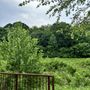 Photo of Little Sugar Creek Greenway