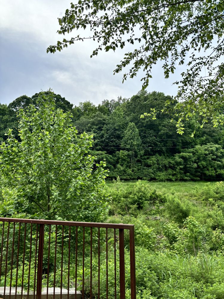 Little Sugar Creek Greenway