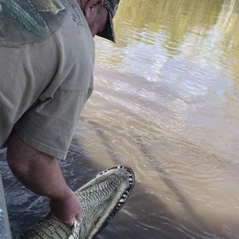 Ultimate Swamp Adventures - Tours Near Me - Westwego, Louisiana Ultimate Swamp Adventures - Tours Near Me - Westwego, Louisiana