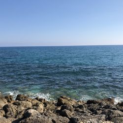 Best Fit Tailoring - Ocean view