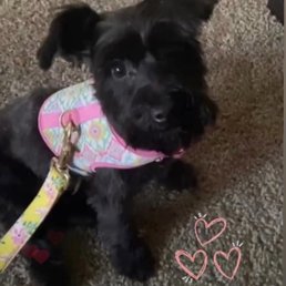 Baby Bella!!! Baby Bella!!!