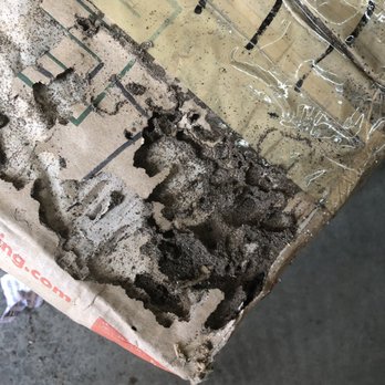 Leonard's Lockers Self Storage - Termite damage - Self Storage Near Me - Salinas, California