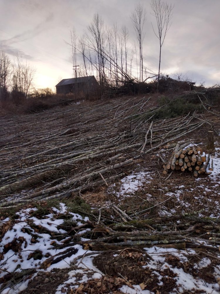 QUALITY TREE Updated June 2024 Tunkhannock, Pennsylvania Firewood