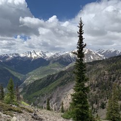 The Sportsman Outdoors & Fly Shop