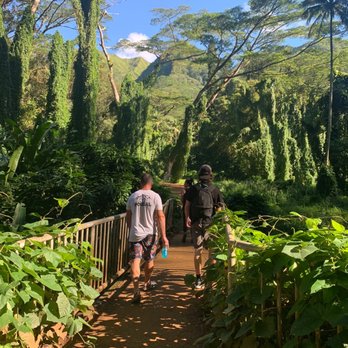 Hiking Honolulu - Manoa falls with tour guide Kyle - Hiking Near Me - Honolulu, Hawaii