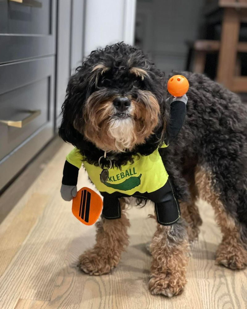 MANSOUR HASAN STATE FARM INSURANCE AGENT 81 Photos 10811 Kingston