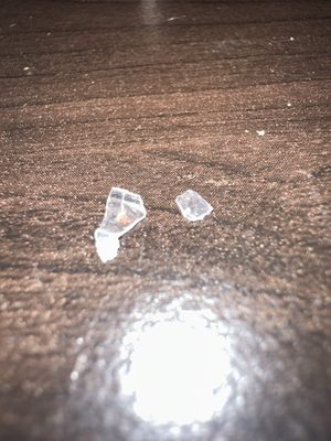 Forage Kitchen by null