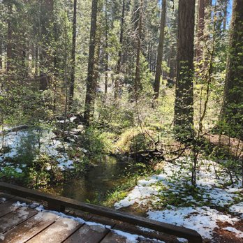Calaveras Big Trees State Park - Parks Near Me - Arnold, California