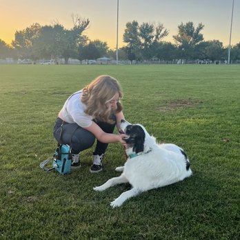 Bark and Beyond Pet Services - Pet Sitting Near Me Bark and Beyond Pet Services - Pet Sitting Near Me