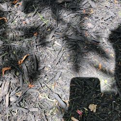 JT Lawn Care