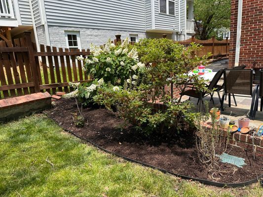 John’s Services Logo