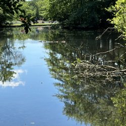 Caleb Smith State Park Preserve