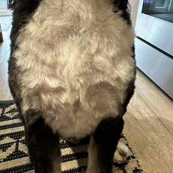 Woof In Boots - Horrible - Pet Groomers Near Me - Denver, Colorado Woof In Boots - Horrible - Pet Groomers Near Me - Denver, Colorado
