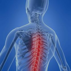 Hansen Chiropractic Clinic - Spinal Decompression Therapy is a pain-free alternative that has shown a very high rate of success.
Call 503-362-8892