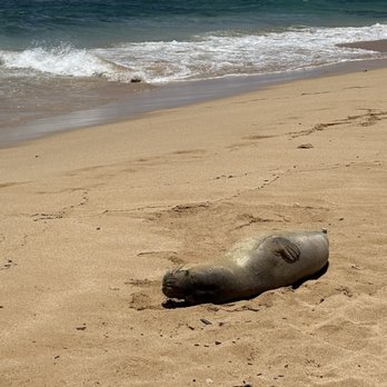 Poipu Beach - Beaches Near Me - Koloa, Hawaii