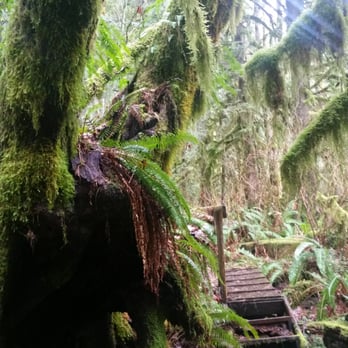 Rainbow Lodge Retreat Center - Venues & Event Spaces Near Me - North Bend, Washington