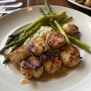 Seasons 52 - Caramelized Grilled Sea Scallops - New American Near Me - Boca Raton, Florida Seasons 52 - Caramelized Grilled Sea Scallops - New American Near Me - Boca Raton, Florida
