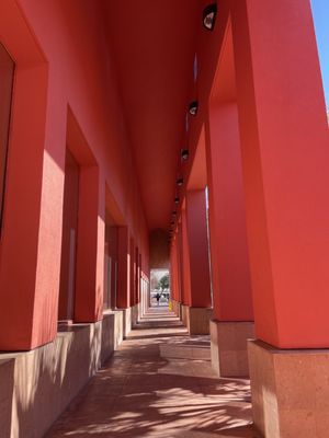 Central Library by null