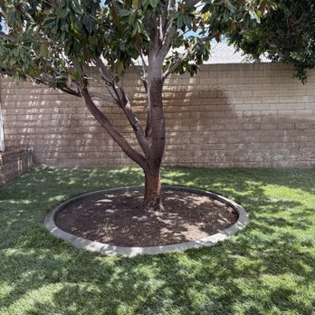 Ready For You Landscaping Services - After picture with sod & mow curb around. - Landscaping Near Me - Banning, California Ready For You Landscaping Services - After picture with sod & mow curb around. - Landscaping Near Me - Banning, California
