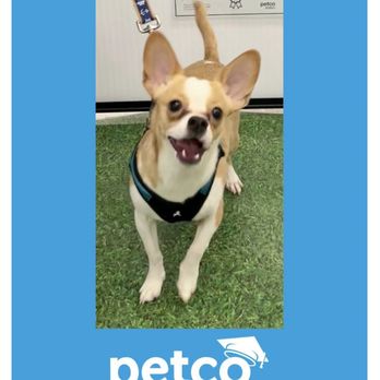Petco - Pet Stores Near Me - Carmel, Indiana Petco - Pet Stores Near Me - Carmel, Indiana
