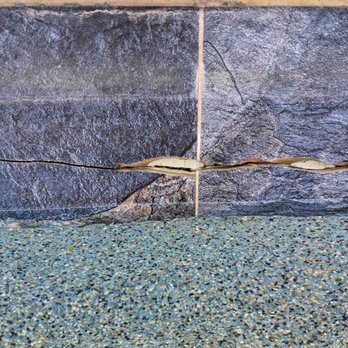 ADI Pool and Spa - a pool with a crack in it - General Contractors Near Me - Climax, North Carolina ADI Pool and Spa - a pool with a crack in it - General Contractors Near Me - Climax, North Carolina