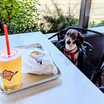 The Original Tops - Someone is interested - Burgers Near Me - Pasadena, California The Original Tops - Someone is interested - Burgers Near Me - Pasadena, California