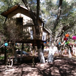 Casa Encinares - Tree house