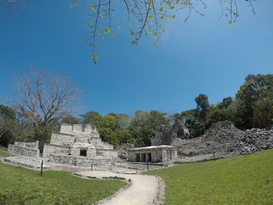 Zona Arqueológica de Muyil by null