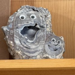 Flagstaff Rock Shop - The official greeters!