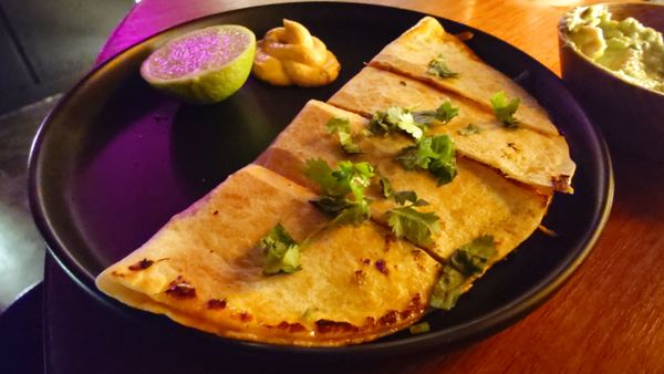 Cat Bite Club by null